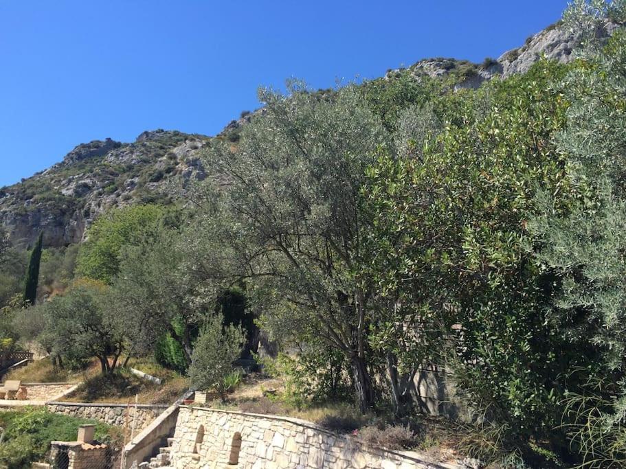 Appartement Sur La Colline Avec Acces Piscine Volx Exteriér fotografie