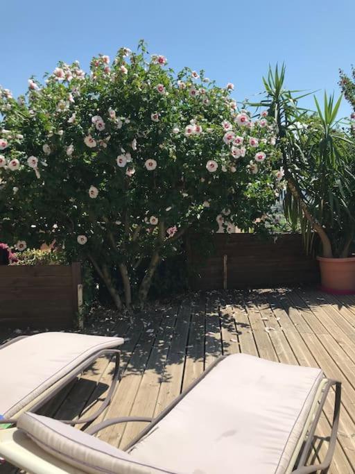 Appartement Sur La Colline Avec Acces Piscine Volx Exteriér fotografie